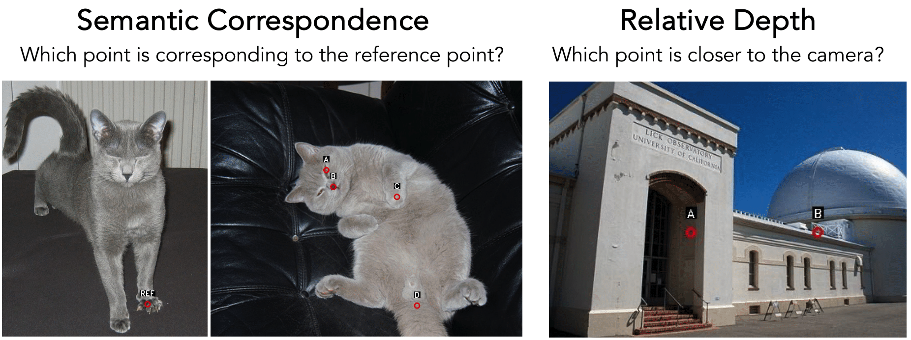 Examples of tasks from BLINK.